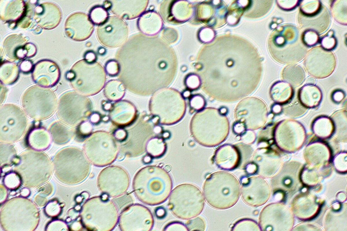 Microencapsulated phase change material